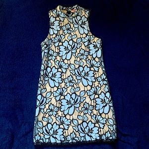 Light Blue lace Floral dress (Anthropologie)